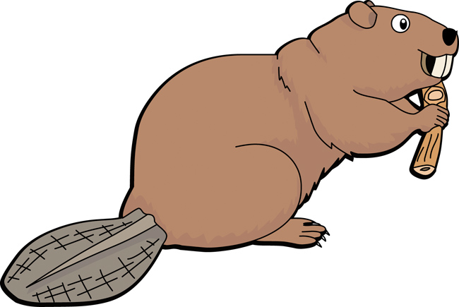 Beaver Slider Puzzle picture