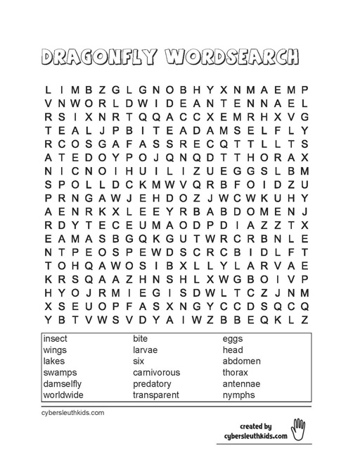 dragonfly printable wordsearch