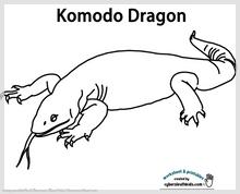 komodo_dragon_printable.jpg