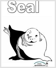 seal_2.jpg