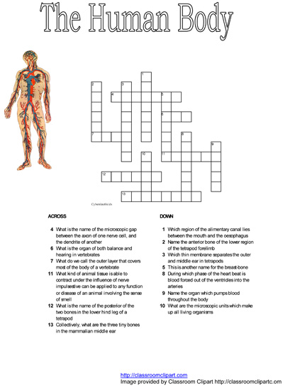 Kids Crossword Puzzles on Free Printable Crossword Puzzles For Download