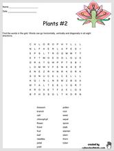 plants2.jpg