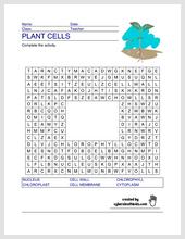 plant_cells_simple_WS.jpg
