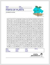 plant_parts_WS.jpg