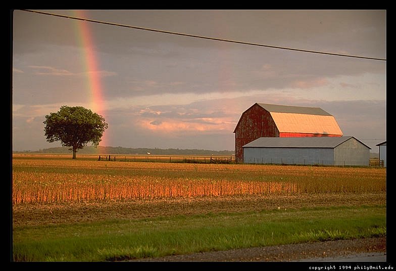 ontario-rainbow-barn-4weather