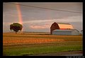ontario-rainbow-barn-4.jpg