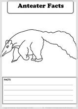anteater_facts_printable.jpg