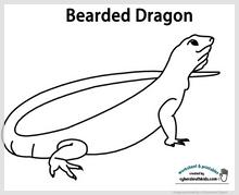 bearded_dragon.jpg