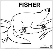 fisher_printable.jpg