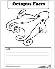 octopus_facts_42.jpg