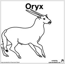 oryx_printable.jpg
