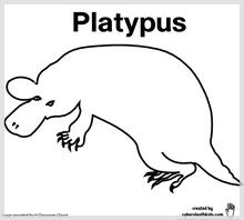platypus_printable.jpg