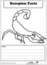 scorpion_facts_printable.jpg