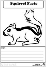 squirrel_facts_printable.jpg