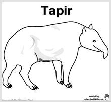 tapir_printable.jpg